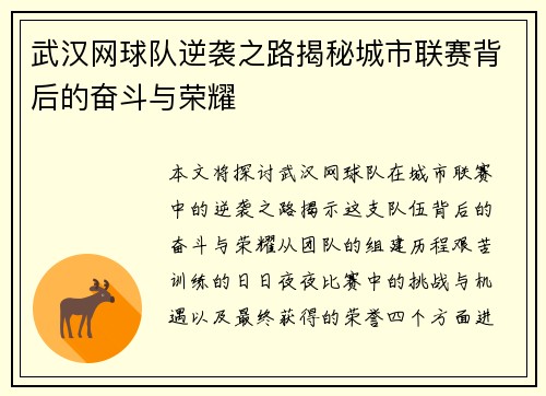 武汉网球队逆袭之路揭秘城市联赛背后的奋斗与荣耀